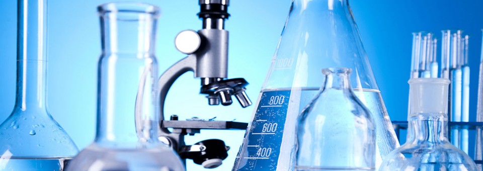 Solamente las mejores marcas y servicios nos respaldan.